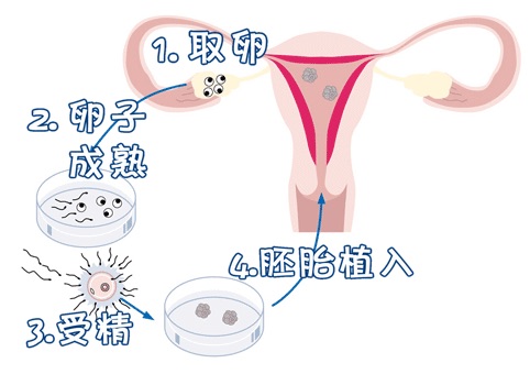 周主任